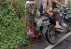 Menko Polhukam Atensi Video Remaja Tendang Orang Tua di Tapsel