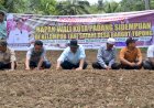 Wali Kota Hadiri Penanaman Perdana Bawang Merah