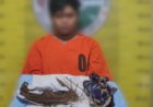 Edarkan Daun Ganja Di Kelurahan Sitamiang Baru Seorang Pria Akhirnya Dibekuk Polisi