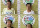 Polres Samosir Amankan 12 Orang Diduga Usai Pesta Narkoba Jenis Ganja