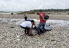 Sesosok Mayat Pria Ditemukan Di Aliran Sungai Batang Serangan